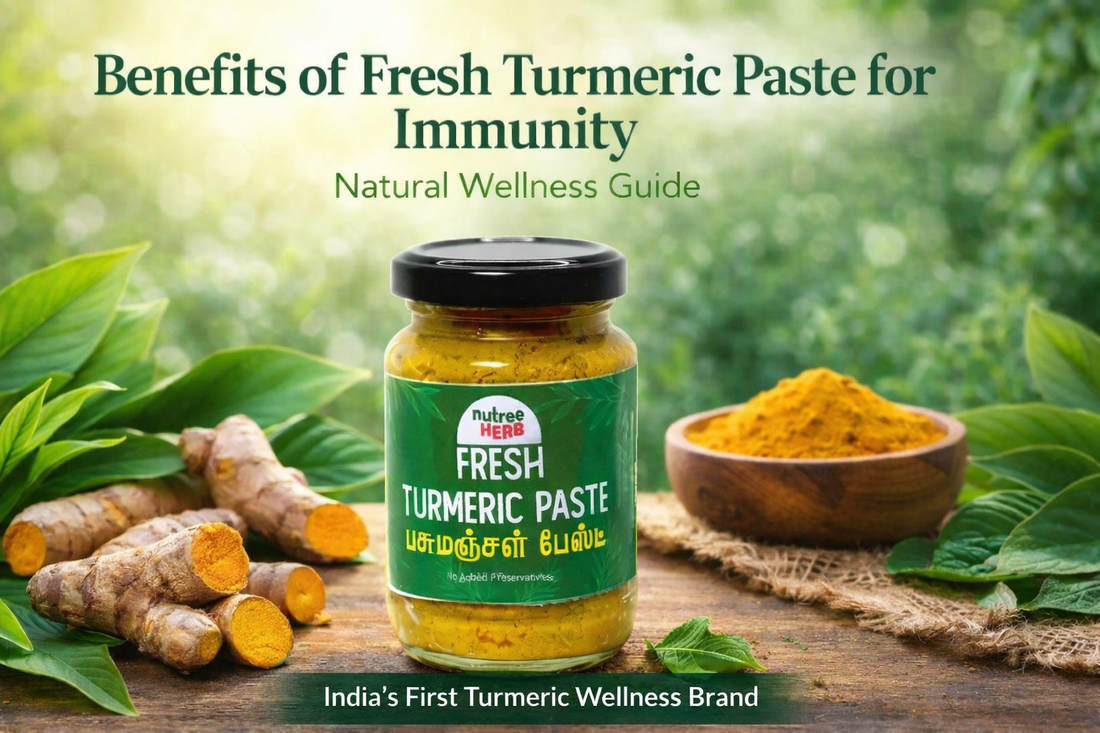 Benefits of Fresh Turmeric Paste for immunity – Nutree Herb natural turmeric wellness product with turmeric roots