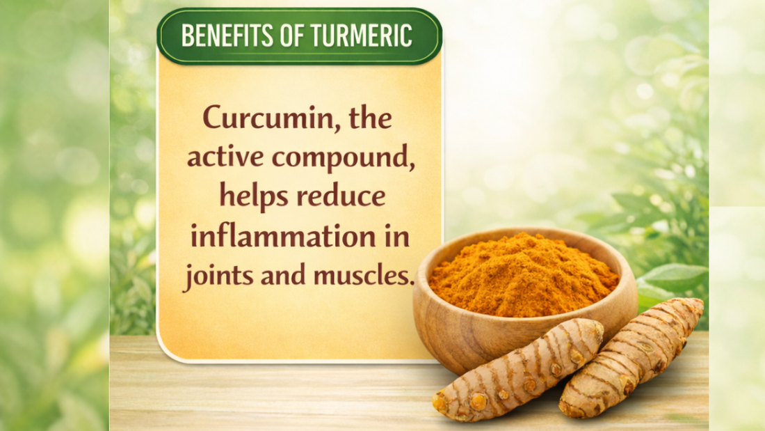 Fresh Turmeric Paste Benefits | Nutree Herb